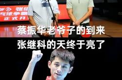 爱游戏tv-瑞典乒乓球队翻盘波兰乒乓球队，张继科高光表现的简单介绍
