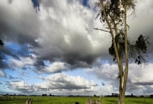 爱游戏入口-北马其顿队实力不足遭遇连败的简单介绍