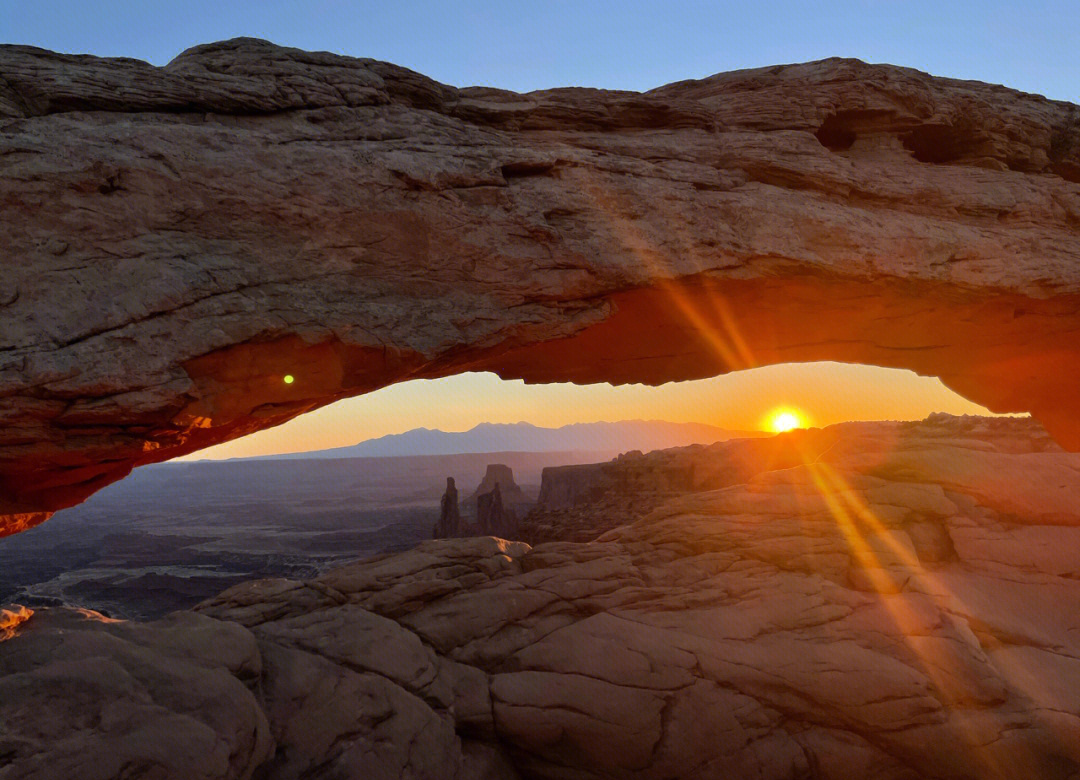 关于新西兰代表雄心勃发,勇往直前的信息 关于新西兰代表雄心勃发,勇往直前的信息