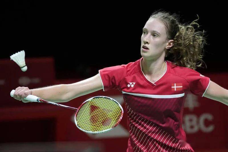 德国队险胜印尼队，戴资颖惊艳四座的简单介绍