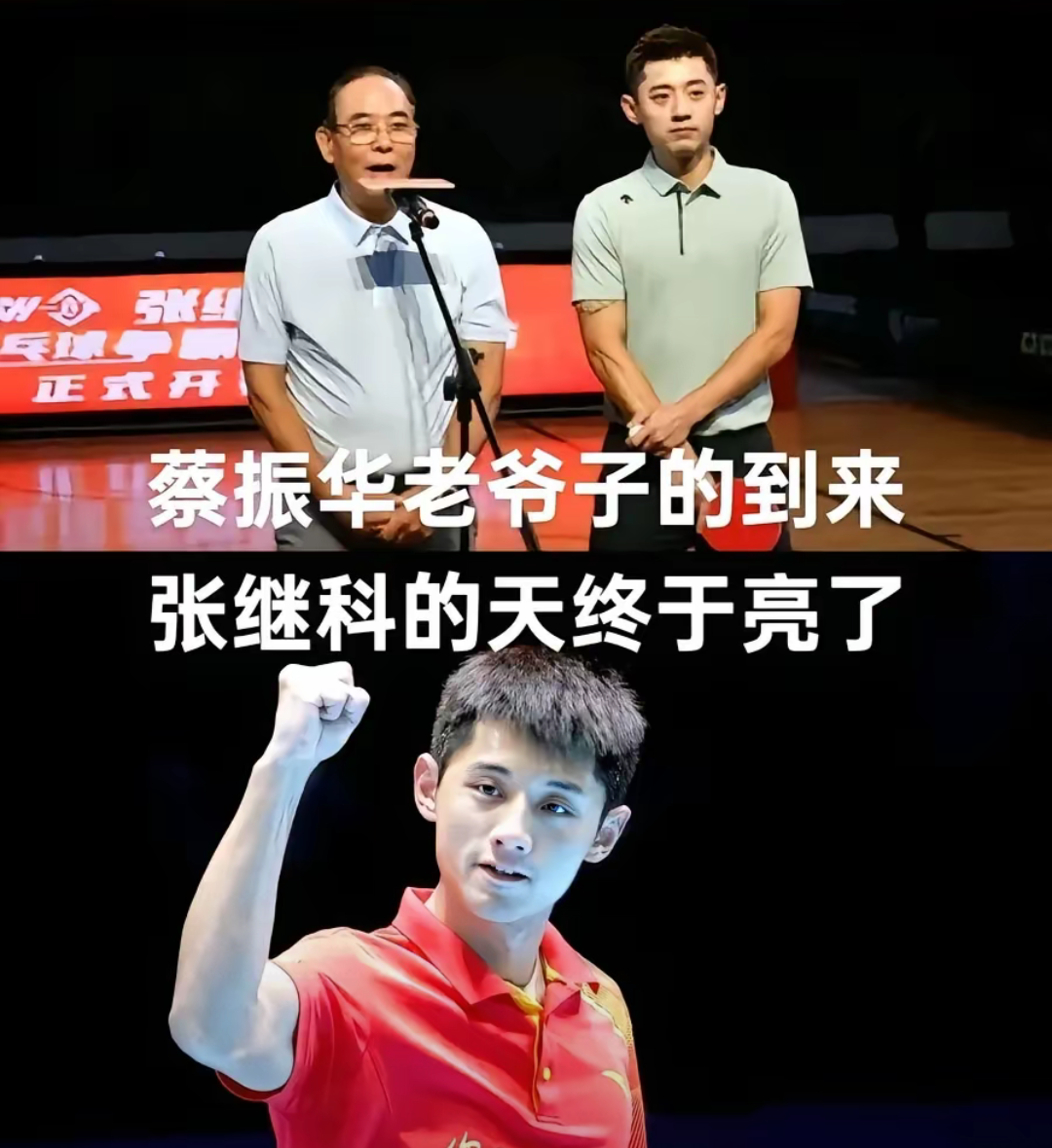 瑞典乒乓球队翻盘波兰乒乓球队,张继科高光表现的简单介绍 瑞典乒乓球队翻盘波兰乒乓球队,张继科高光表现的简单介绍