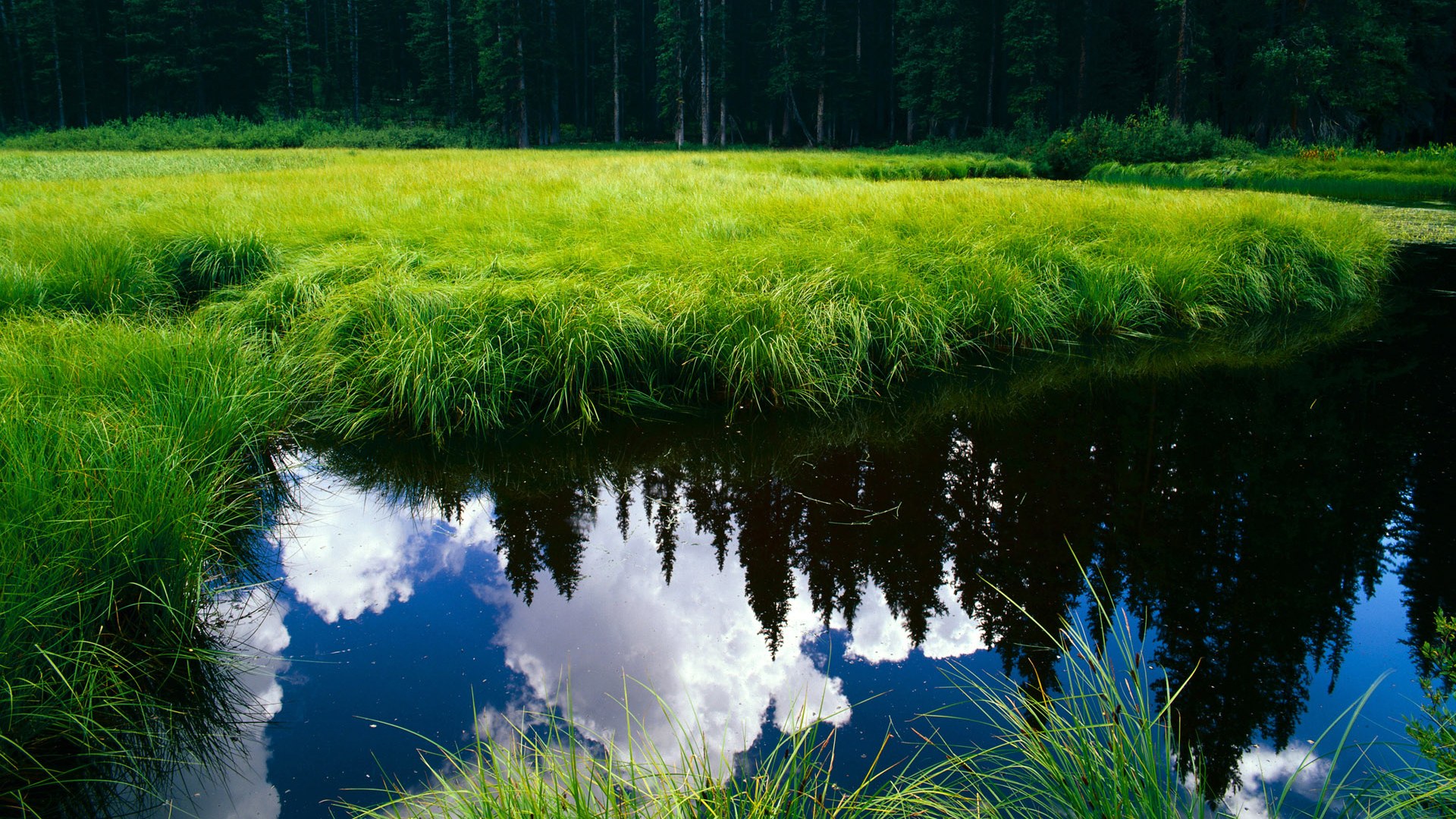 巴雷拉关键回合不手软,哥伦比亚力克勒沃库森展现南美坚韧