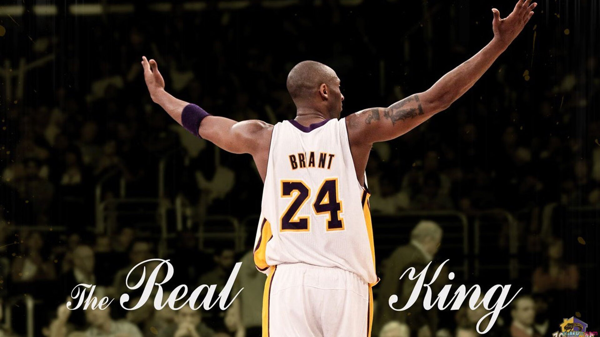 雷霆万钧,奥运周期关键战,青春风暴完胜国王