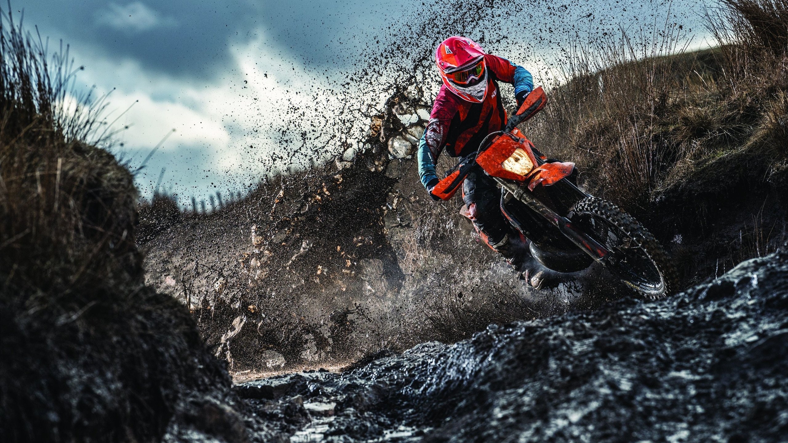 拉文关键一击定乾坤，雄鹿淘汰森林狼的战术启示录